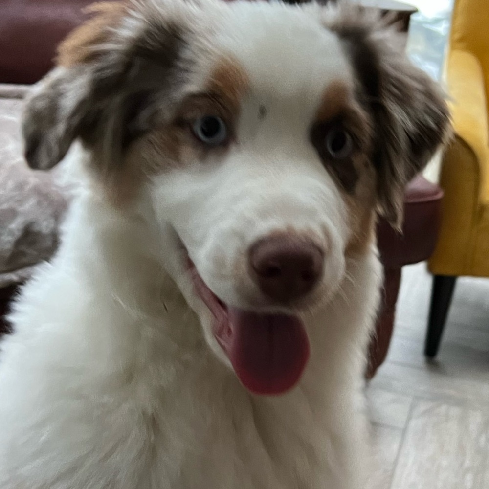 Meet your Posher, Katherine